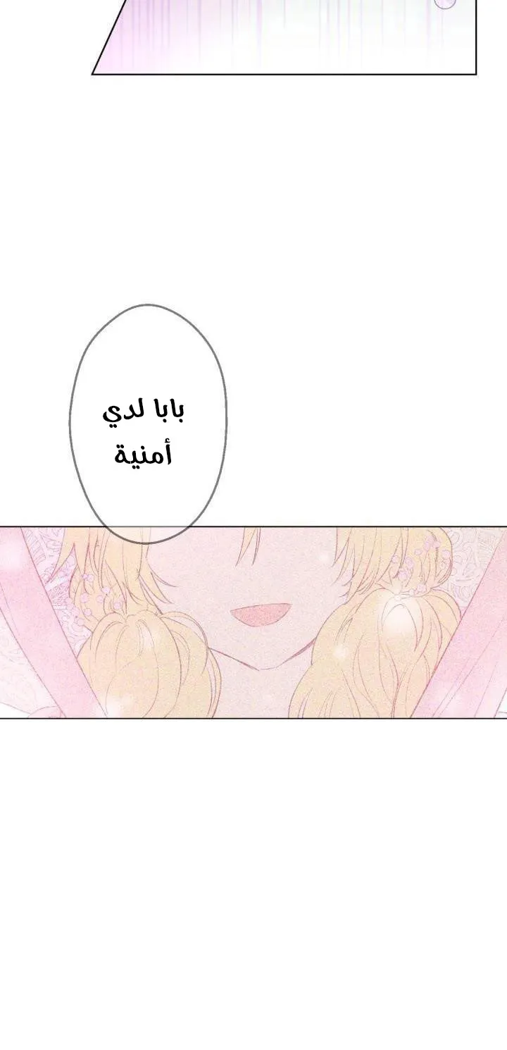 الصفحة 44 من 47