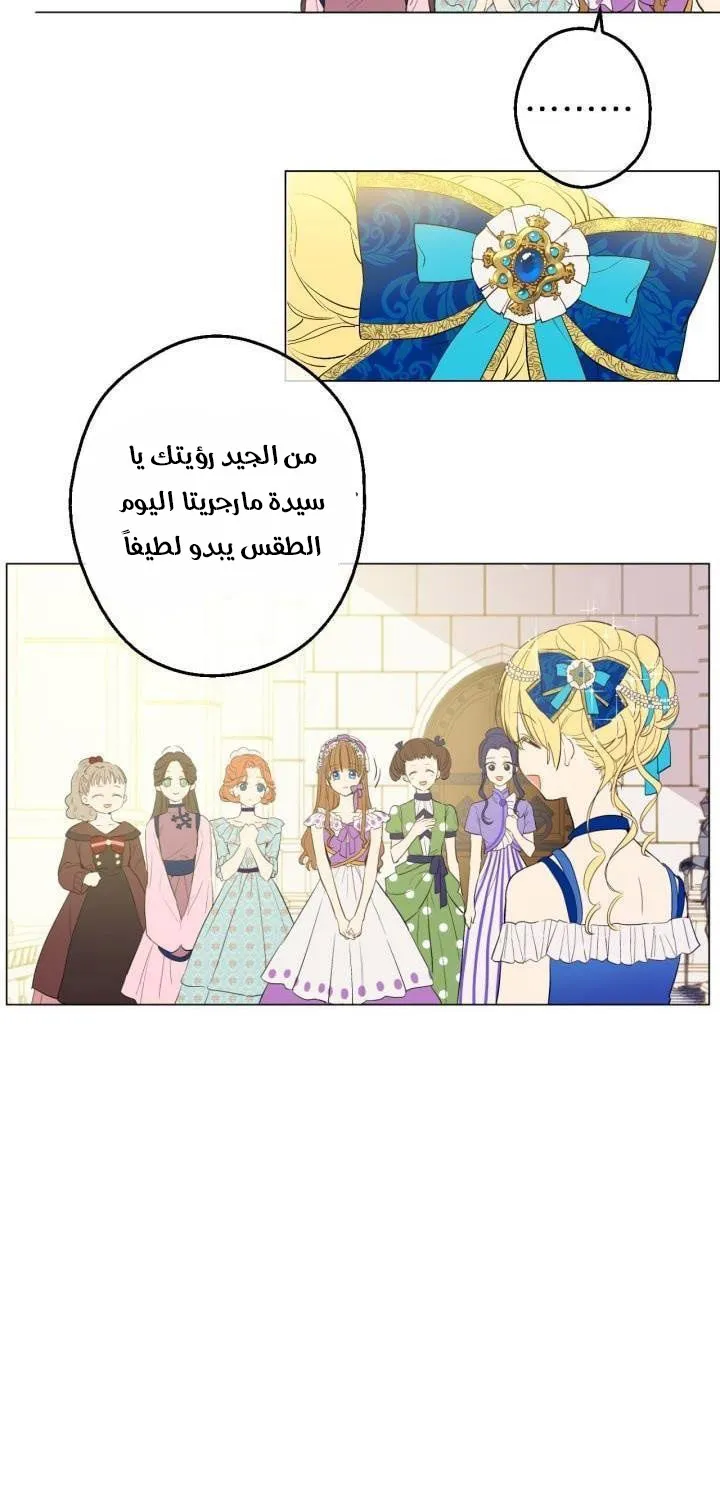 الصفحة 3 من 47