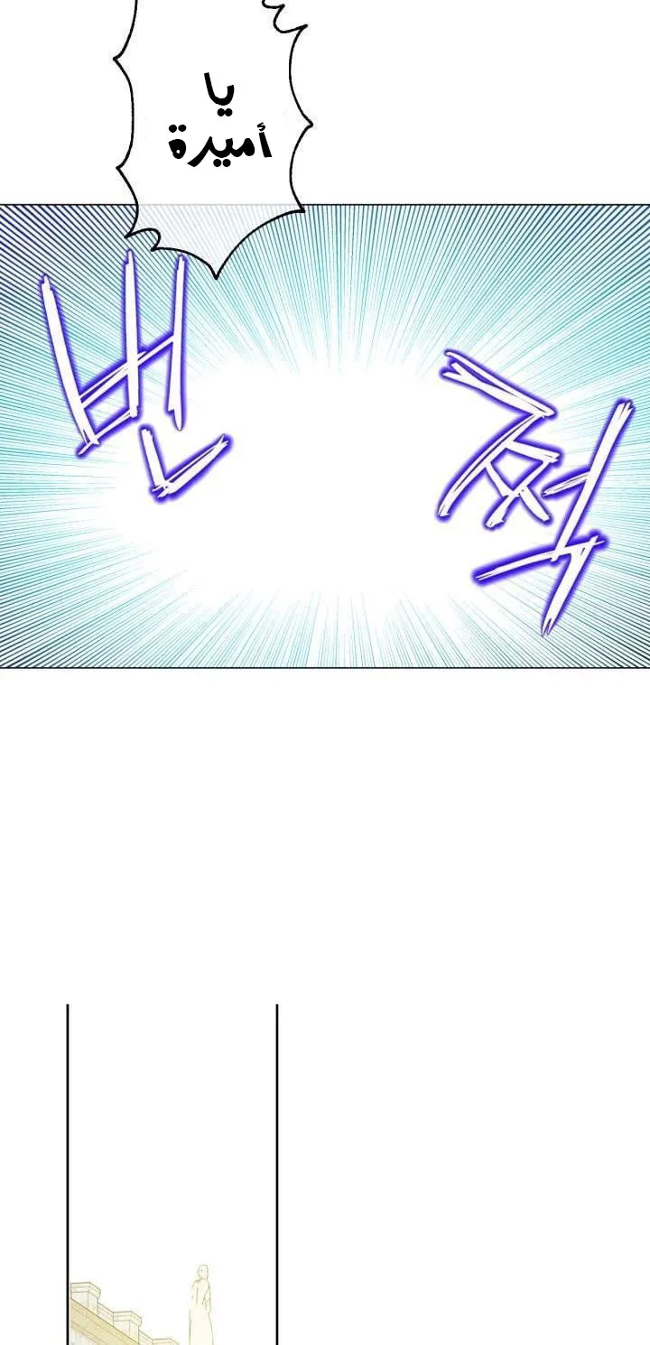 الصفحة 38 من 47