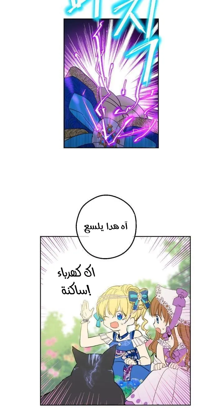 الصفحة 26 من 47