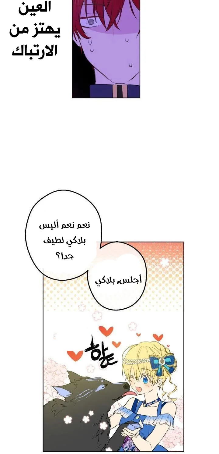 الصفحة 17 من 47