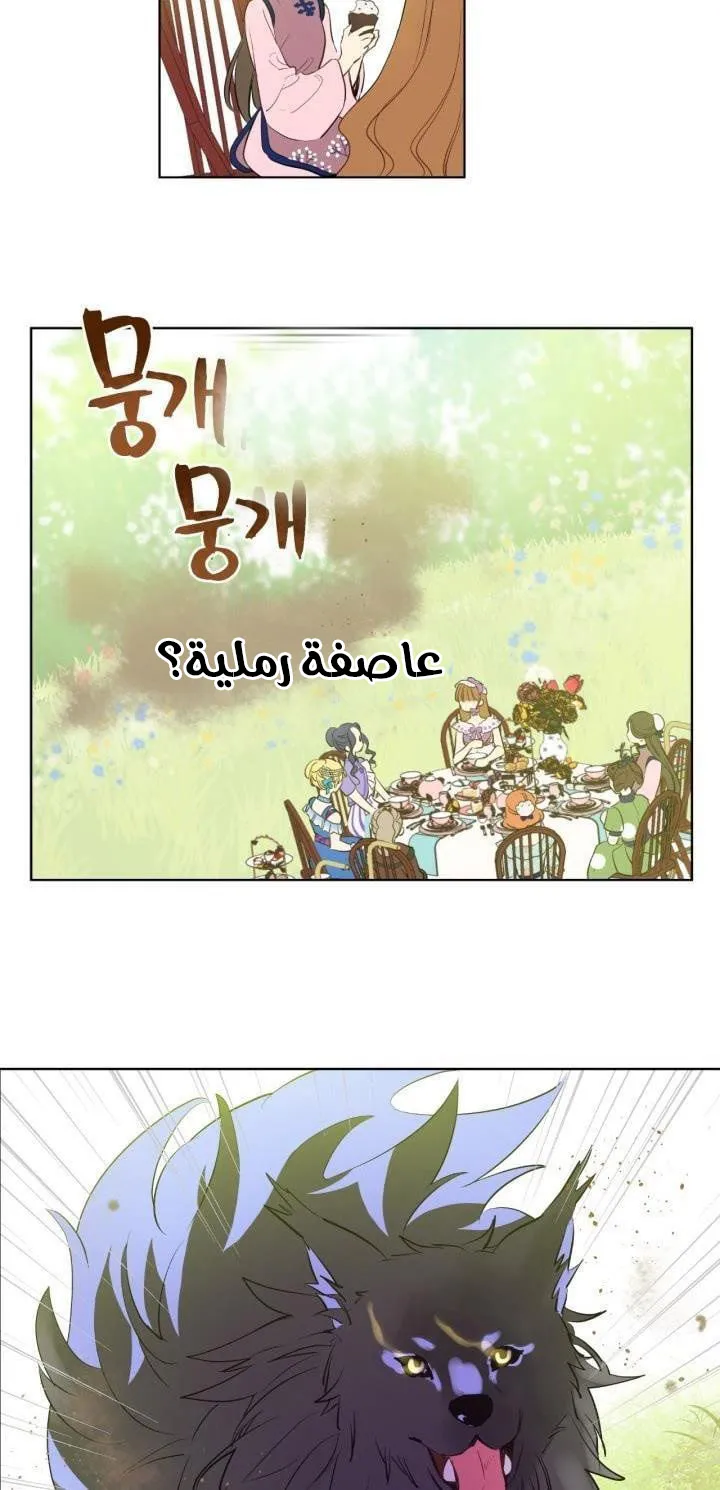 الصفحة 11 من 47