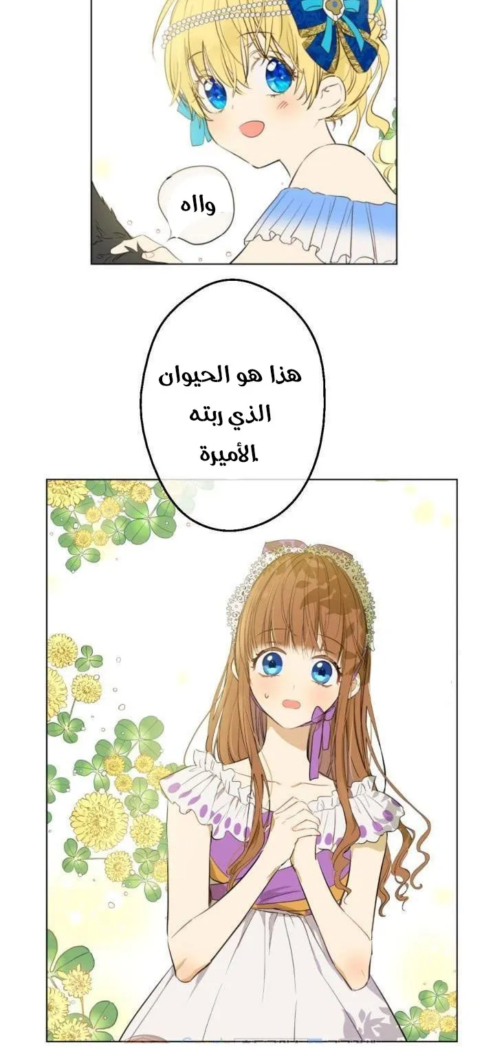 الصفحة 22 من 47