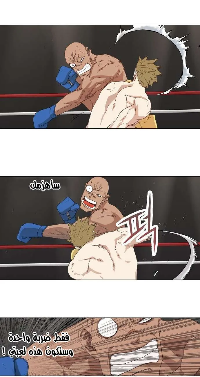الصفحة 24 من 50