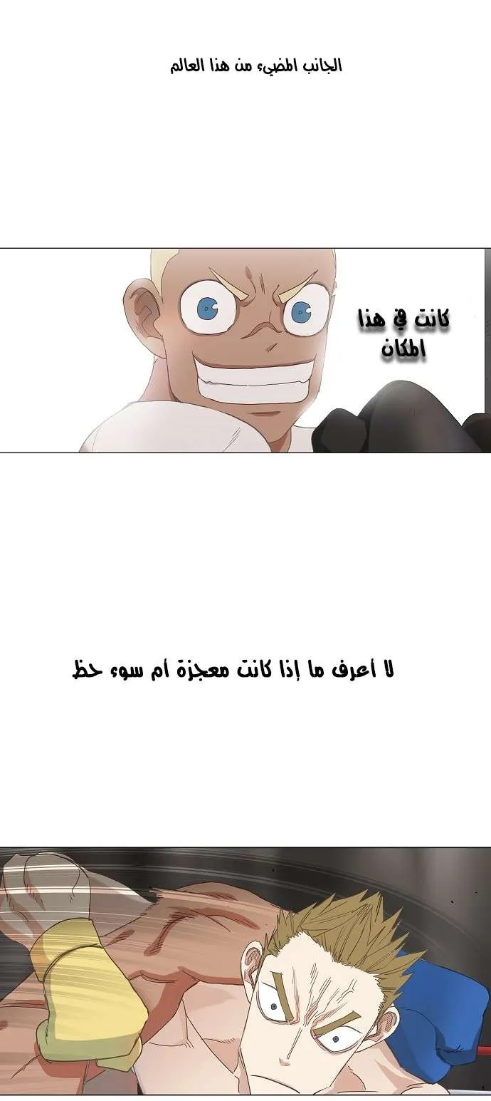 الصفحة 32 من 50
