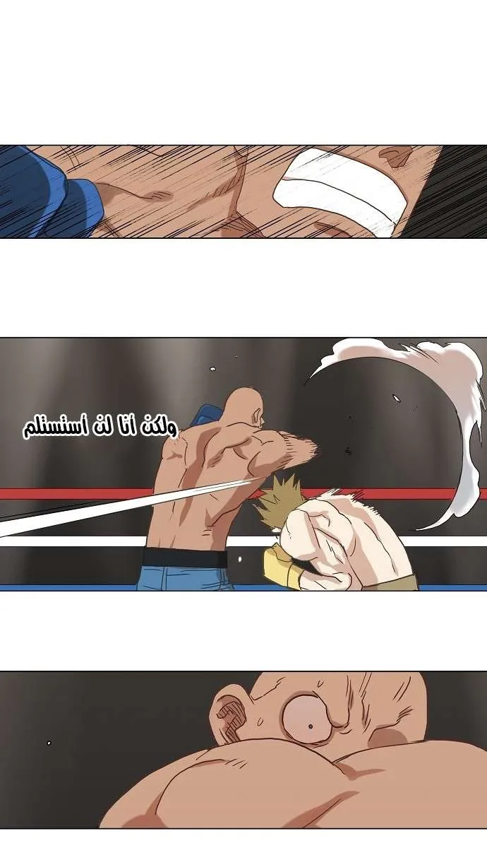 الصفحة 22 من 50
