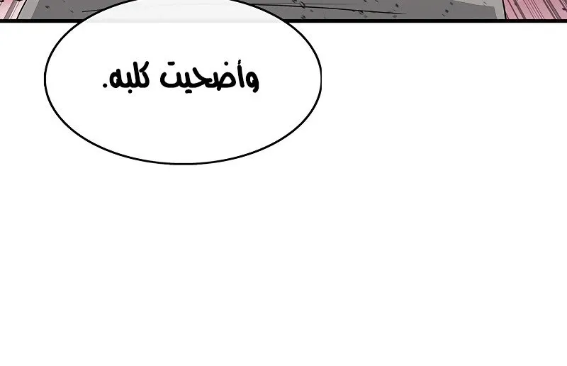 الصفحة 36 من 81