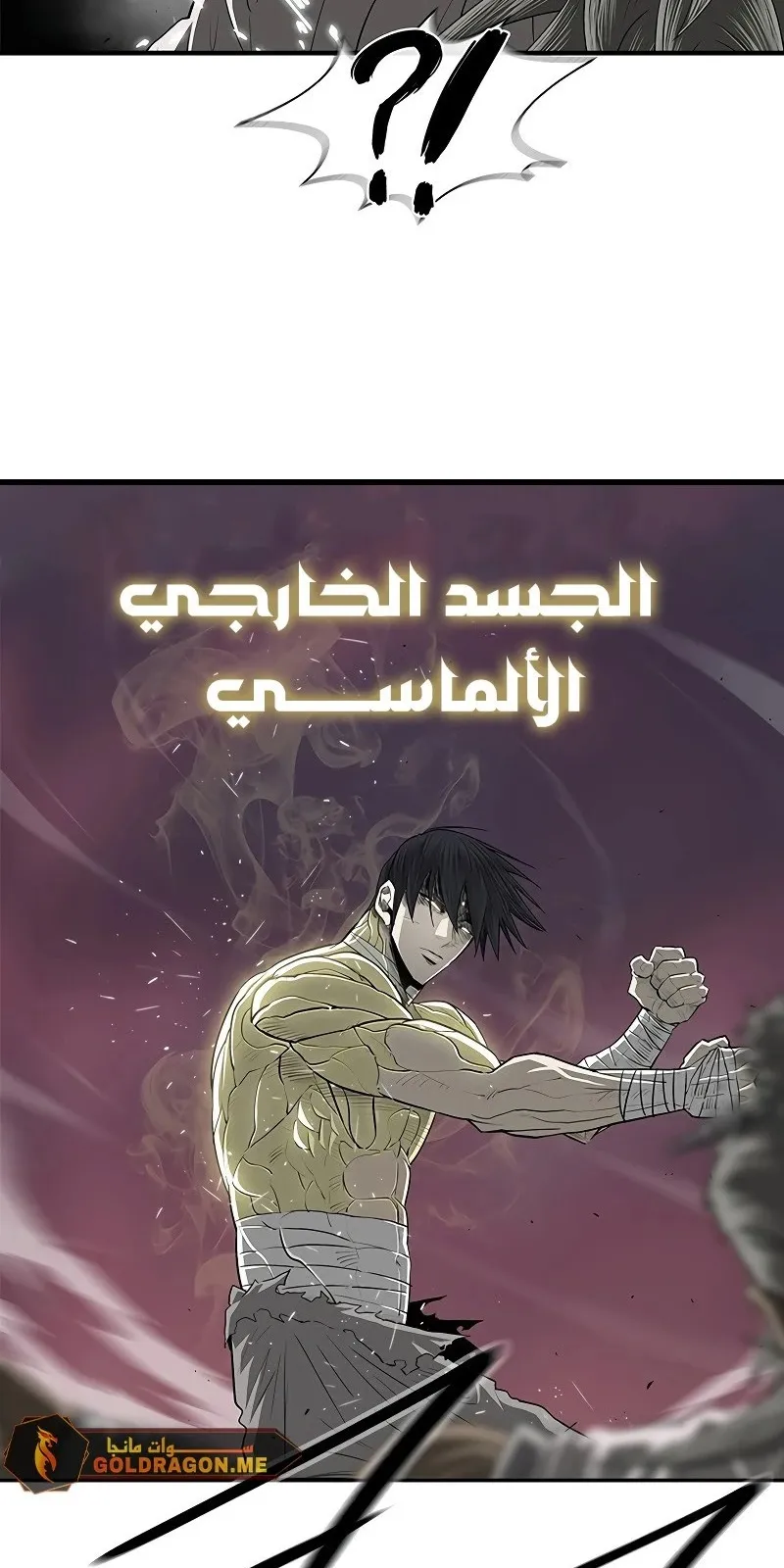 الصفحة 46 من 81