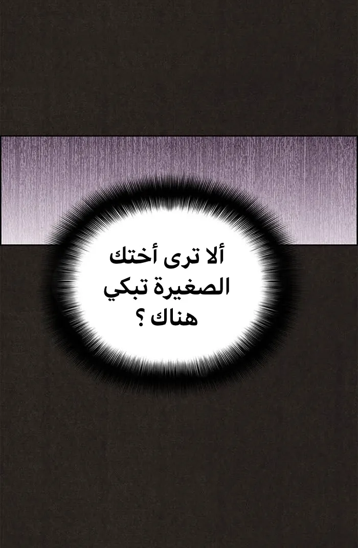 الصفحة 48 من 113