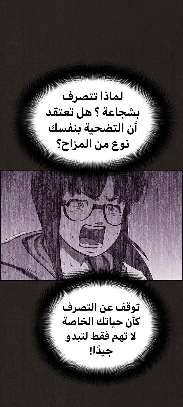 الصفحة 47 من 113