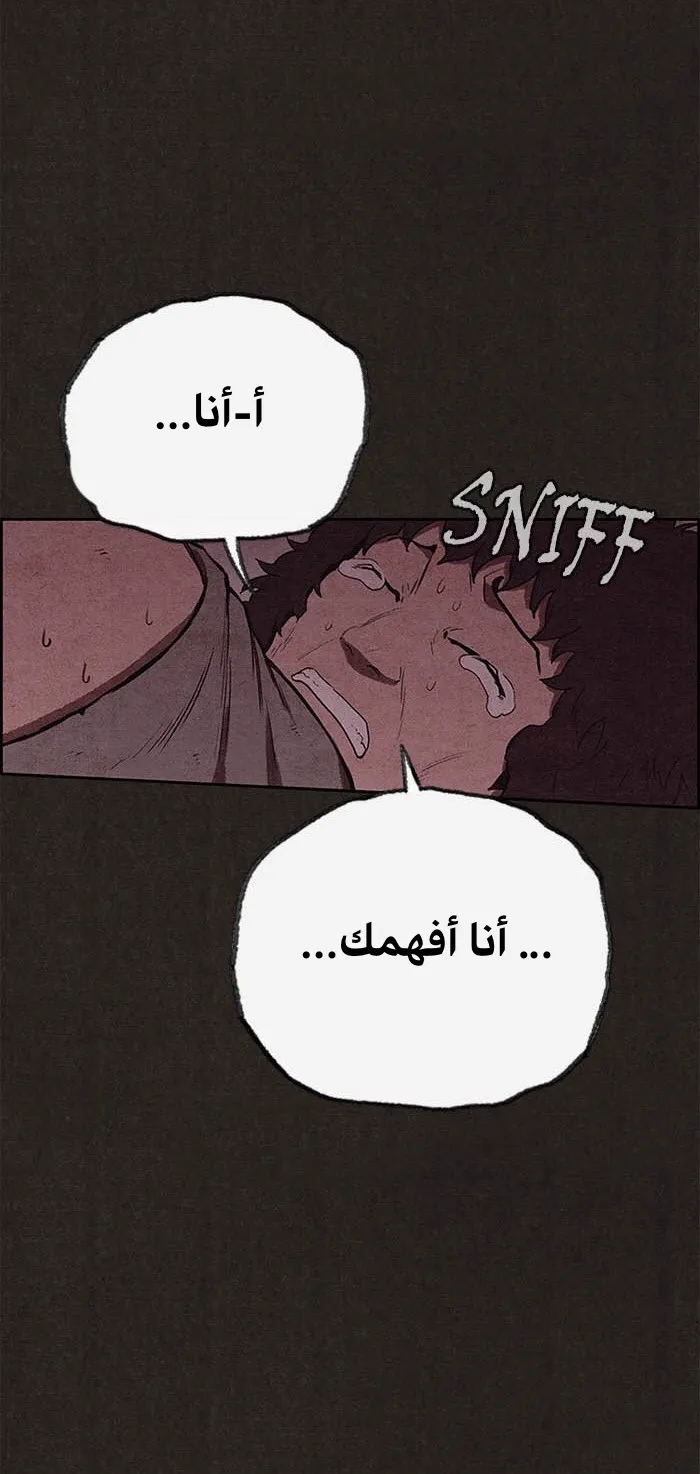 الصفحة 49 من 113