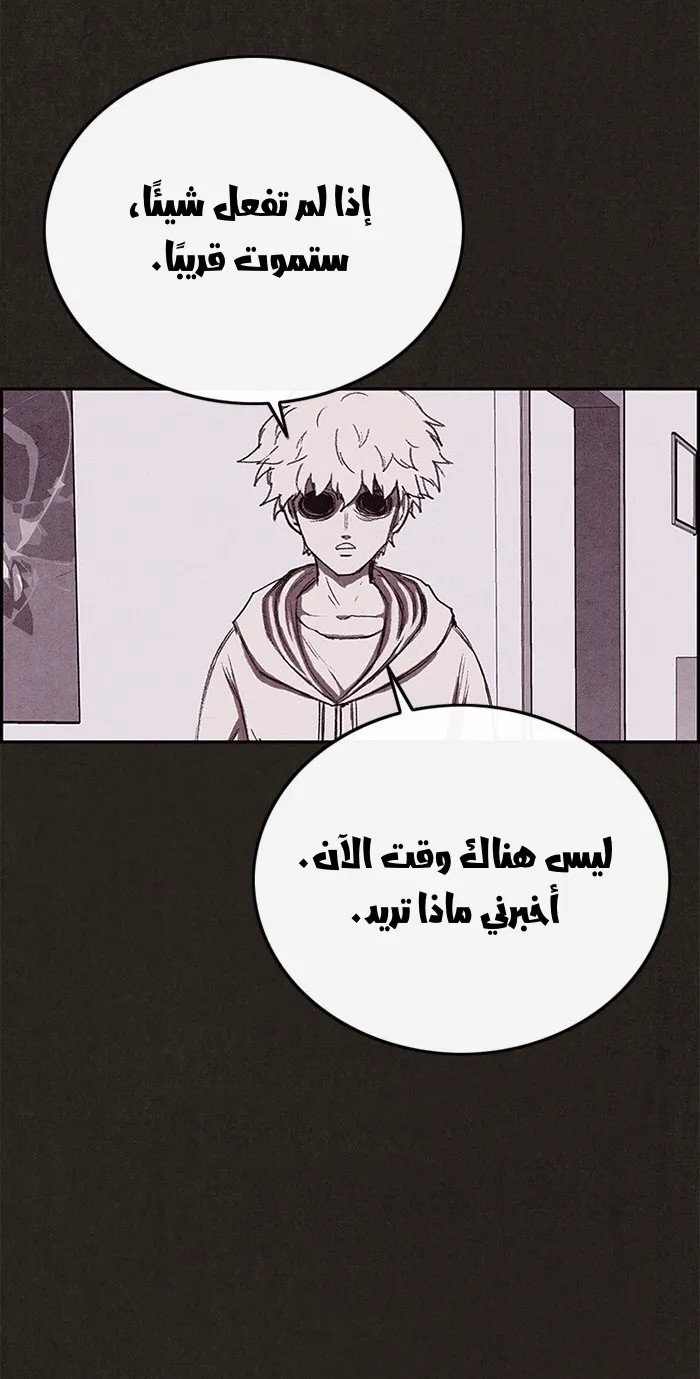 الصفحة 81 من 113
