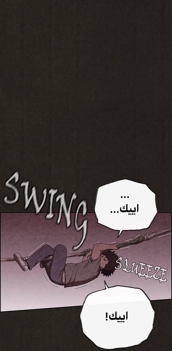 الصفحة 43 من 113