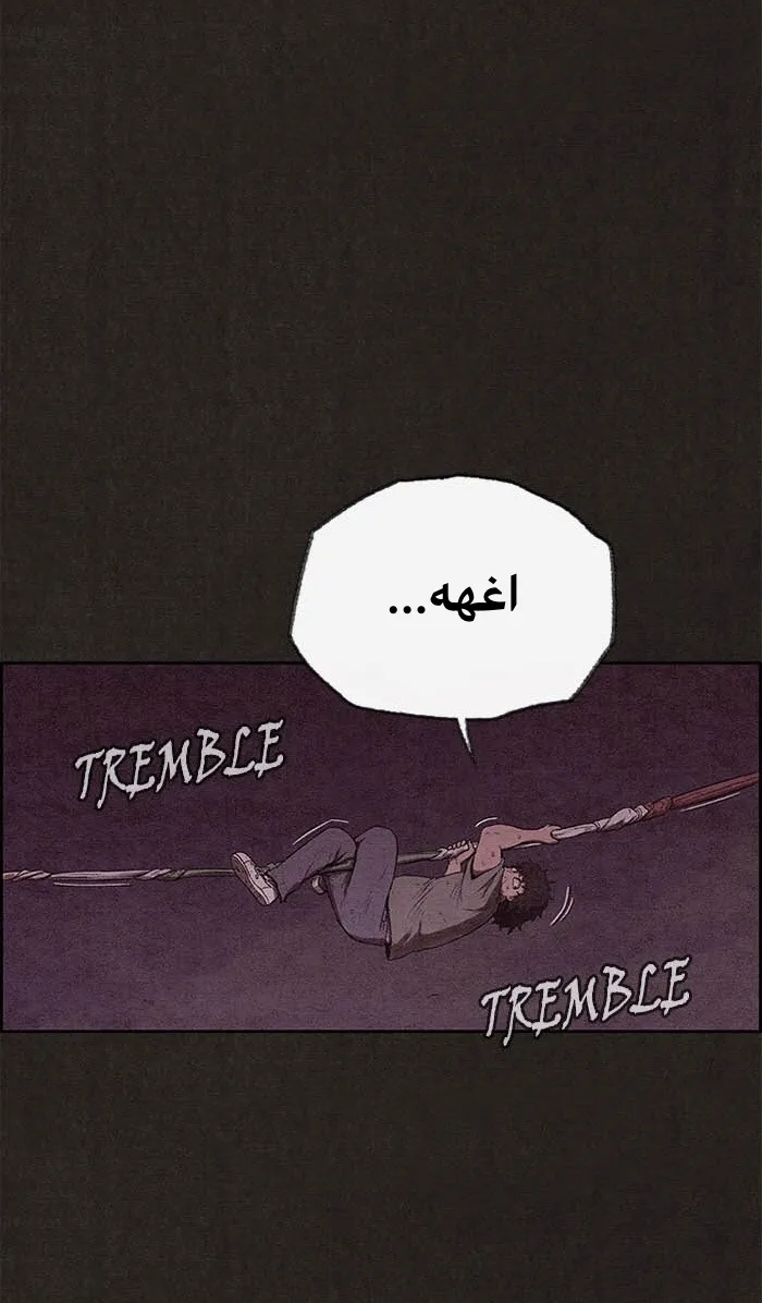 الصفحة 42 من 113