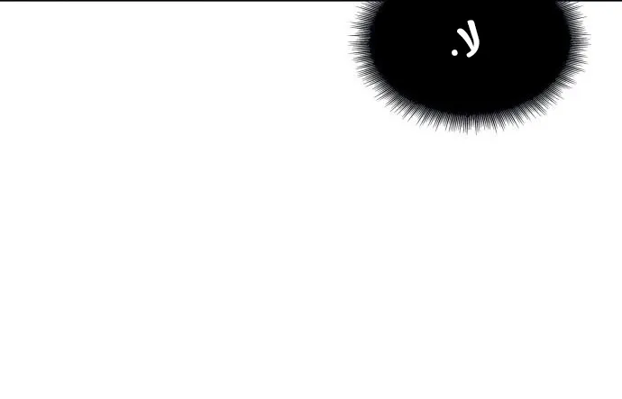 الصفحة 13 من 80