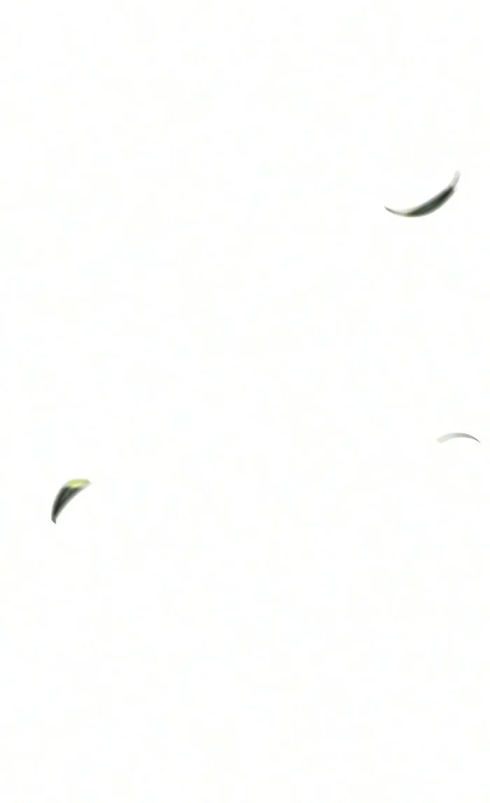 الصفحة 14 من 72