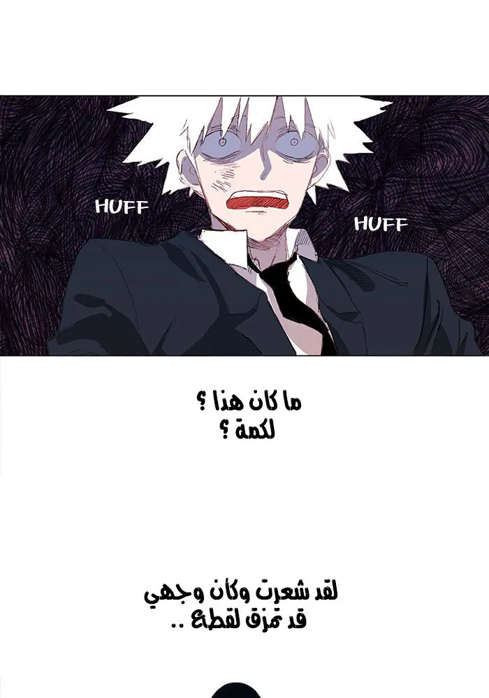 الصفحة 26 من 71