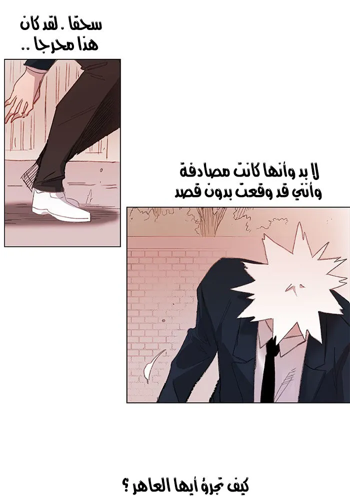 الصفحة 29 من 71