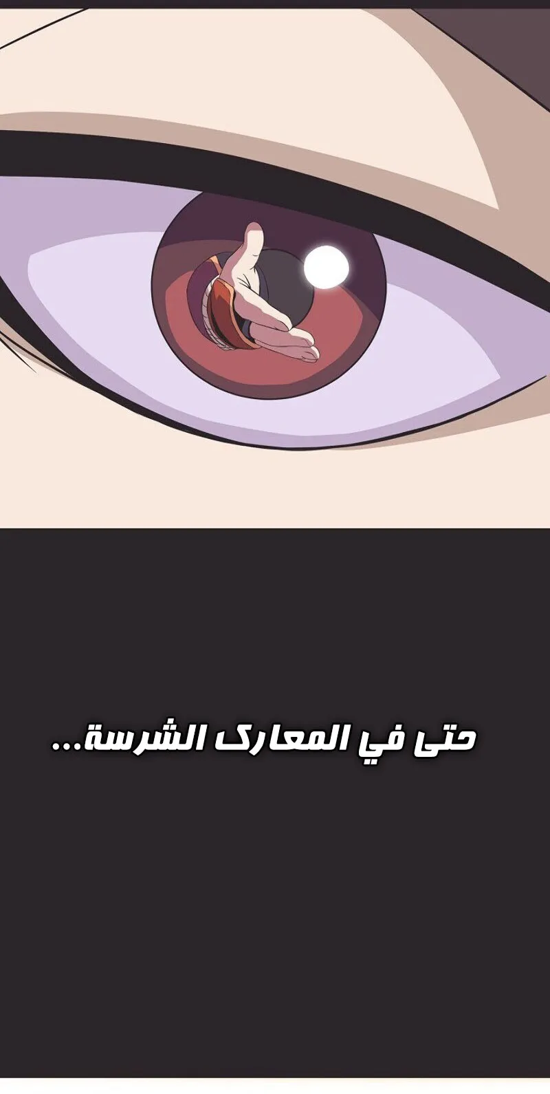 الصفحة 56 من 85