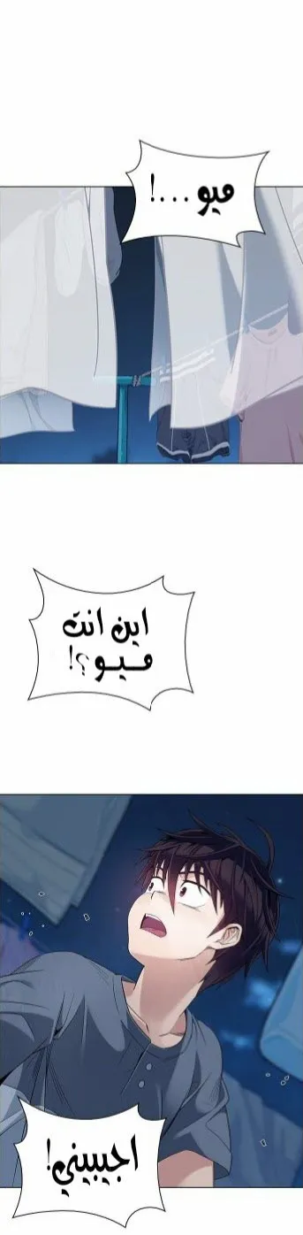 الصفحة 33 من 101