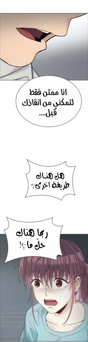 الصفحة 13 من 101