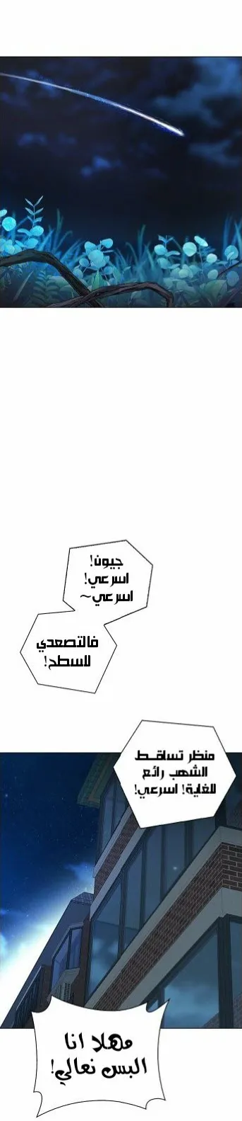 الصفحة 91 من 101