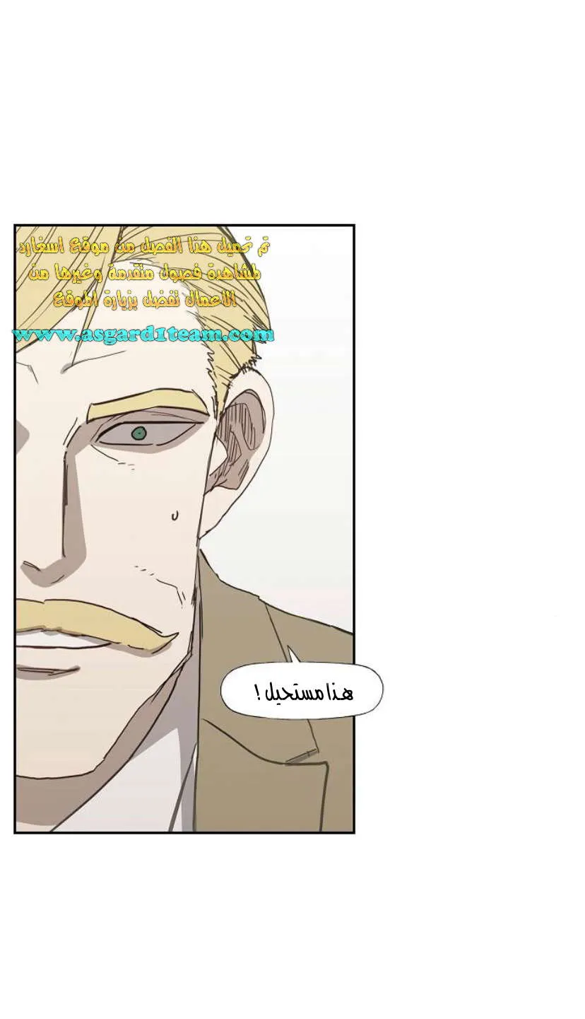 الصفحة 28 من 33