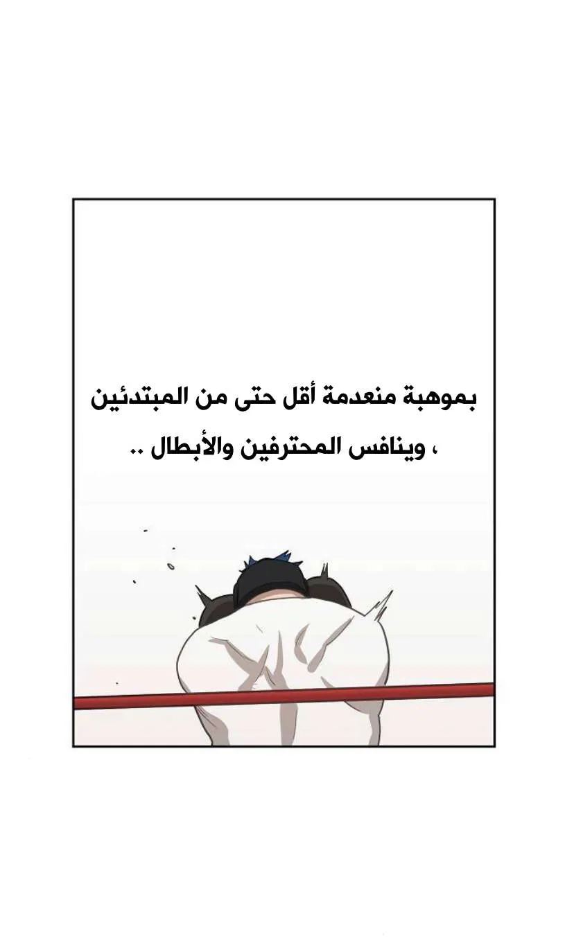 الصفحة 29 من 33