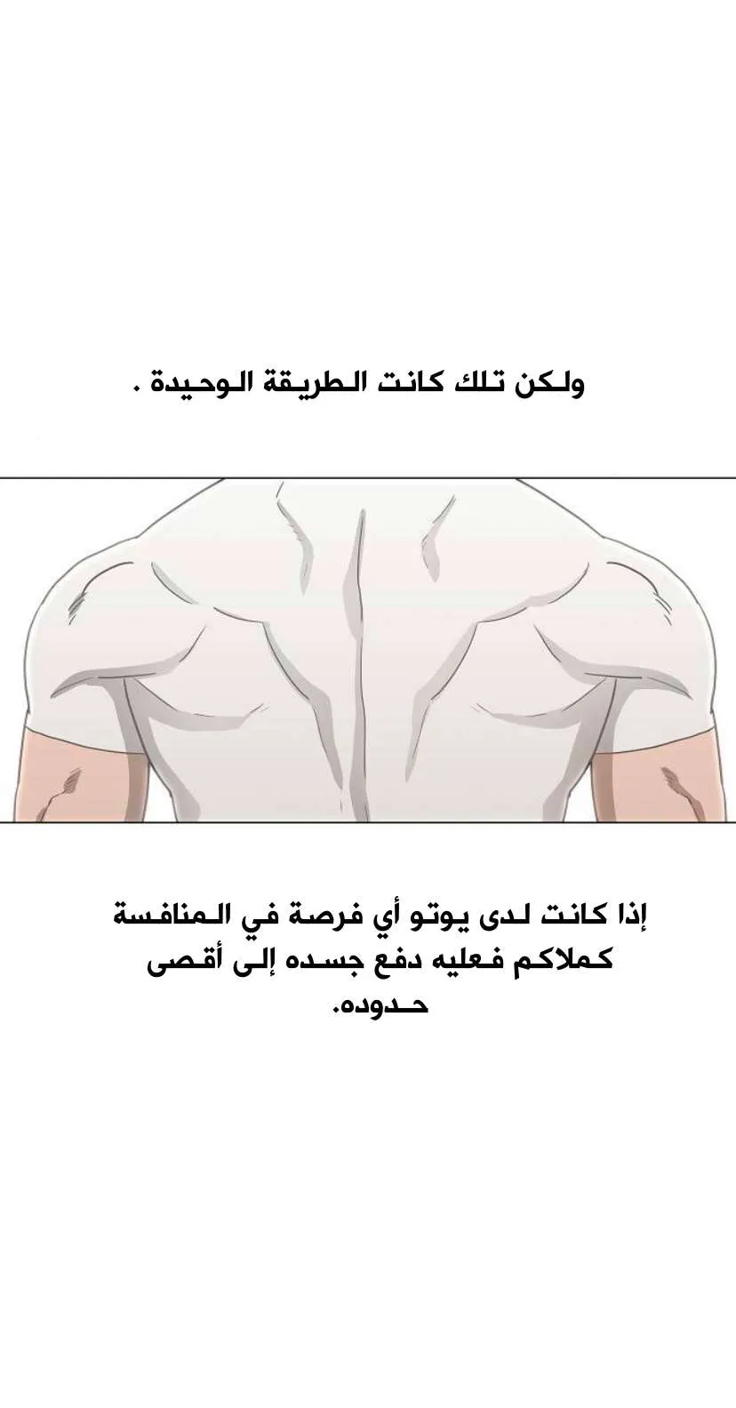 الصفحة 11 من 33
