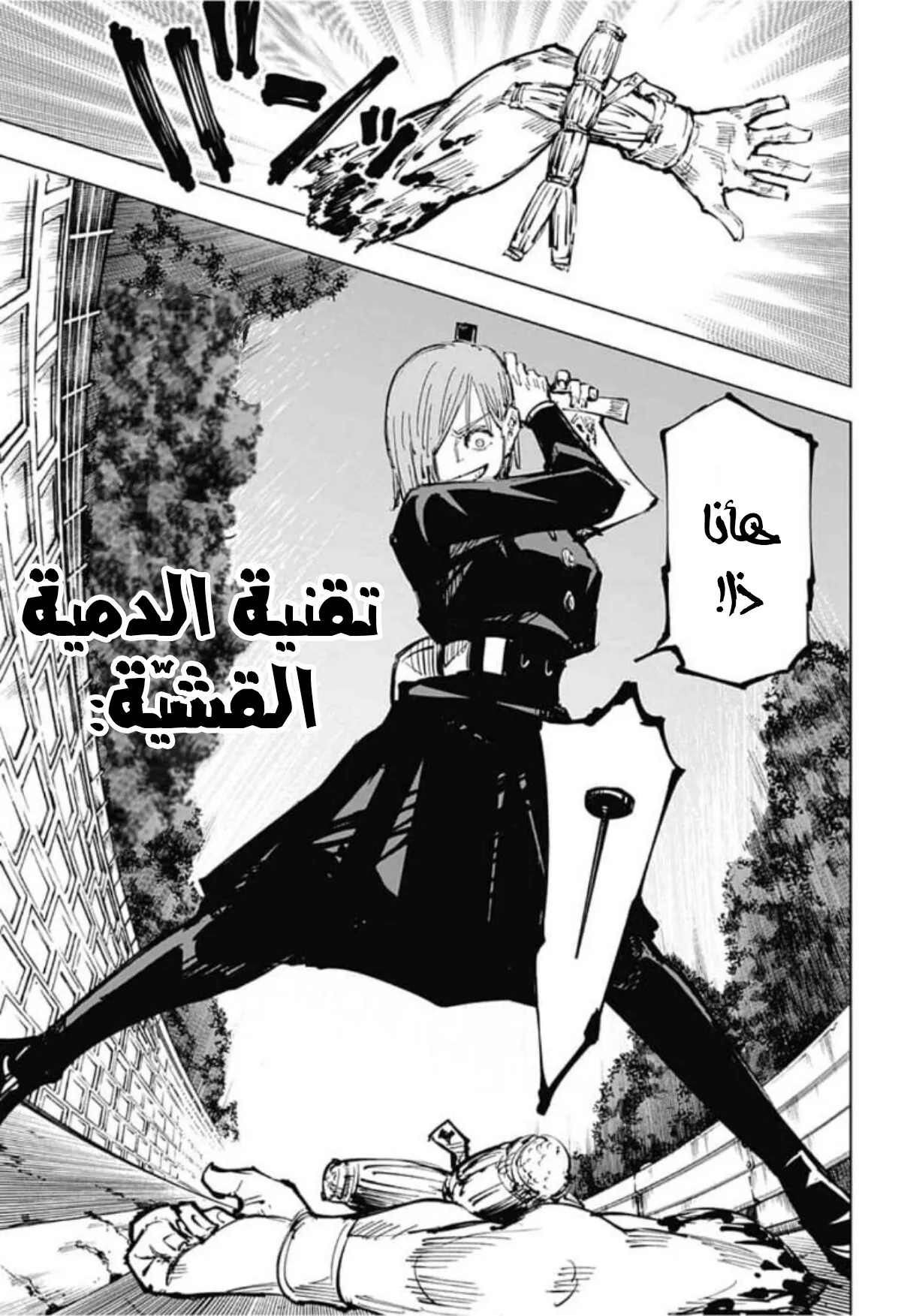 الصفحة 10 من 19