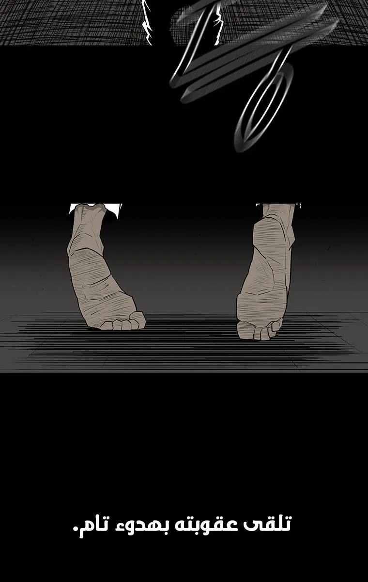 الصفحة 30 من 74