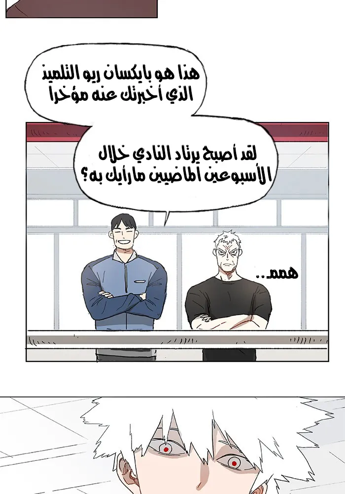 الصفحة 24 من 105