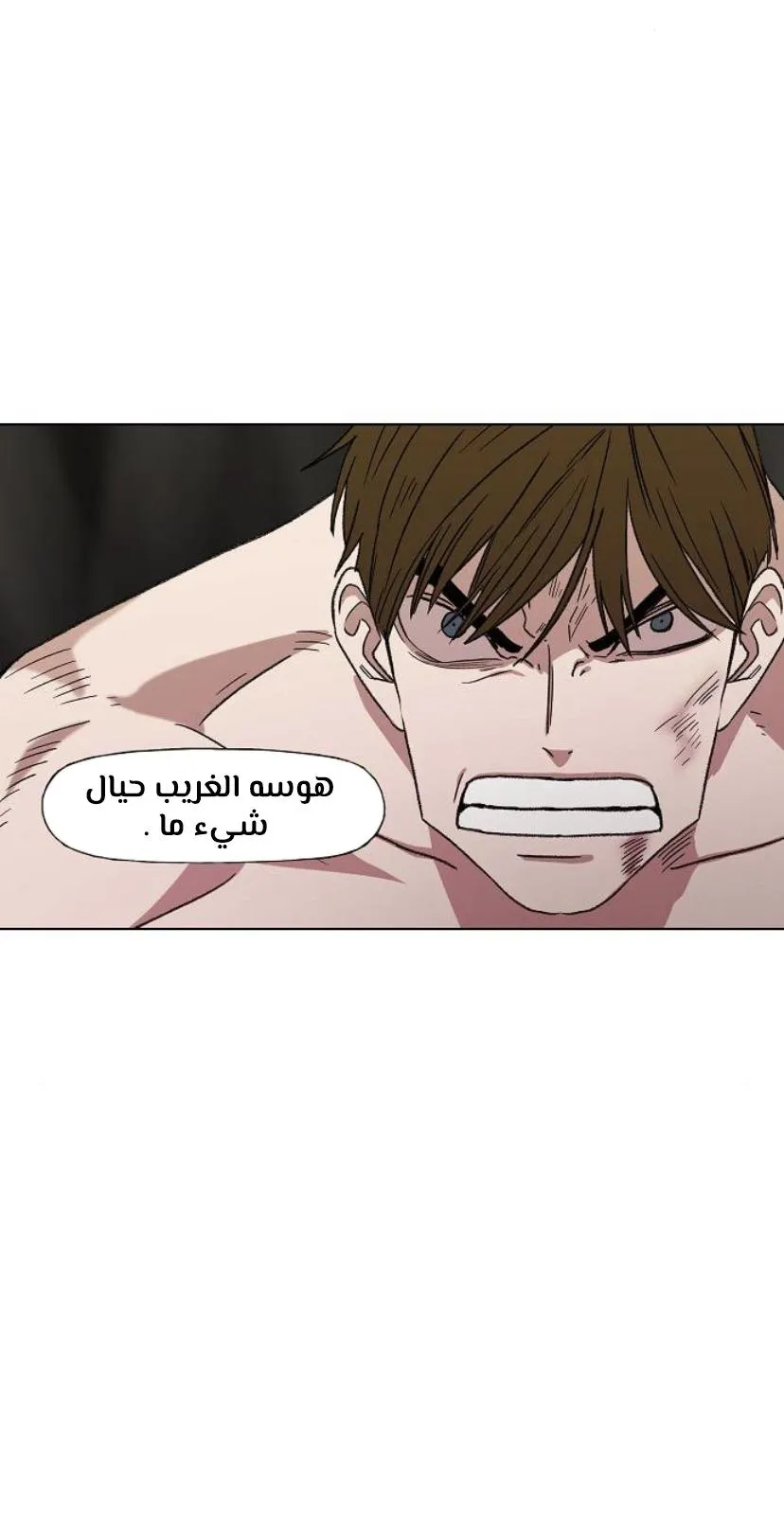 الصفحة 40 من 100