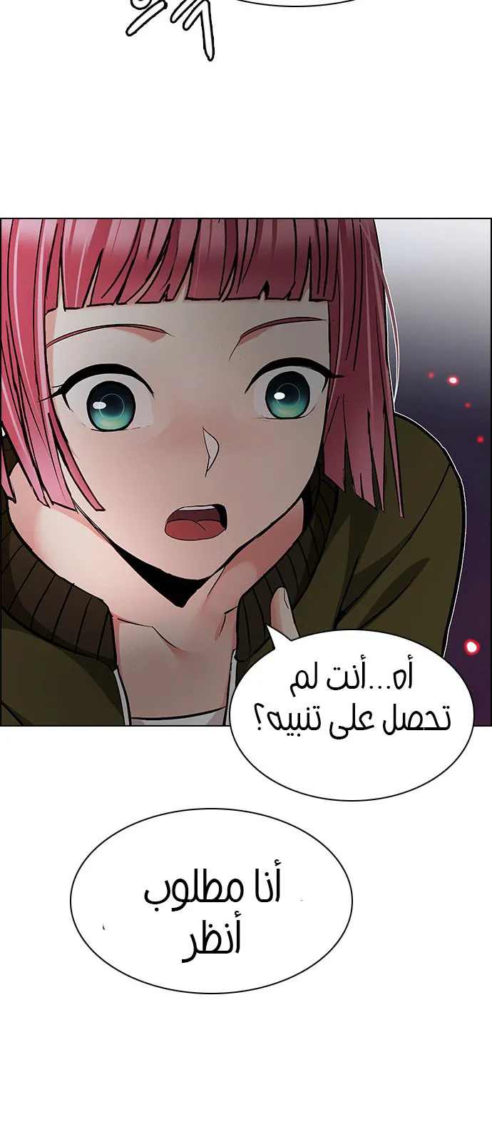 الصفحة 31 من 62