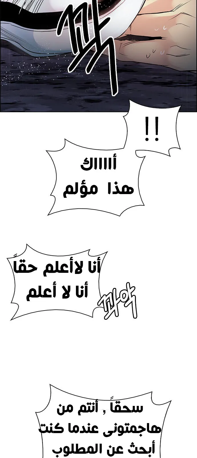 الصفحة 29 من 62