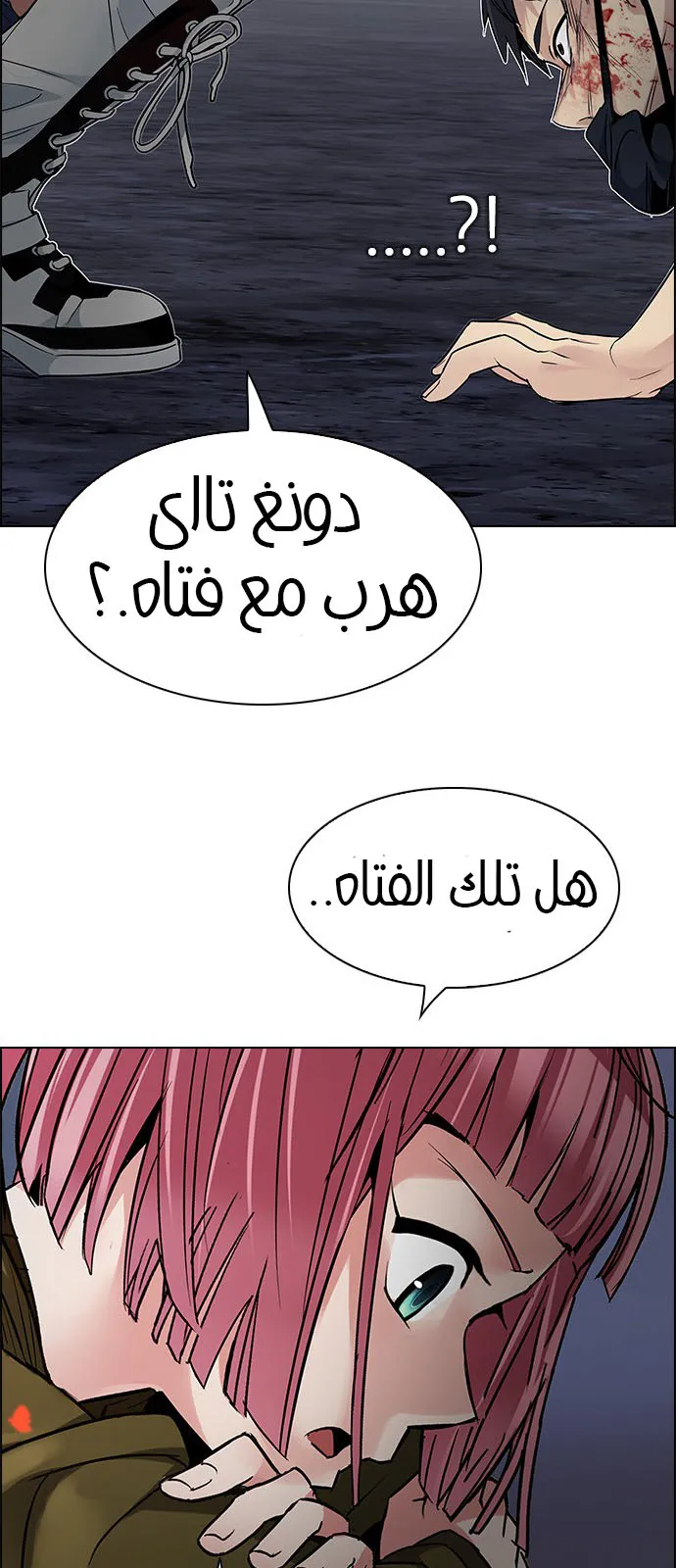 الصفحة 24 من 62