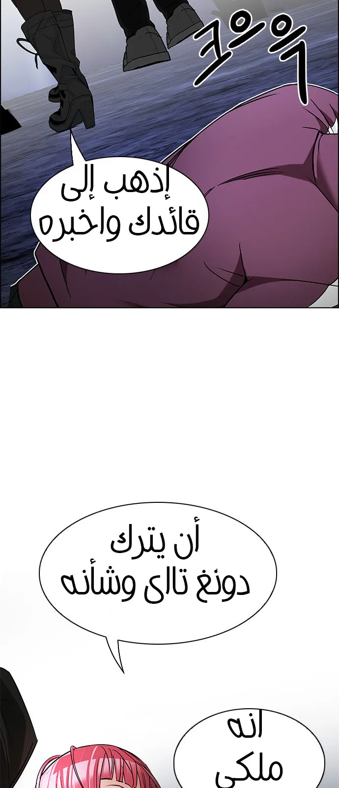 الصفحة 46 من 62