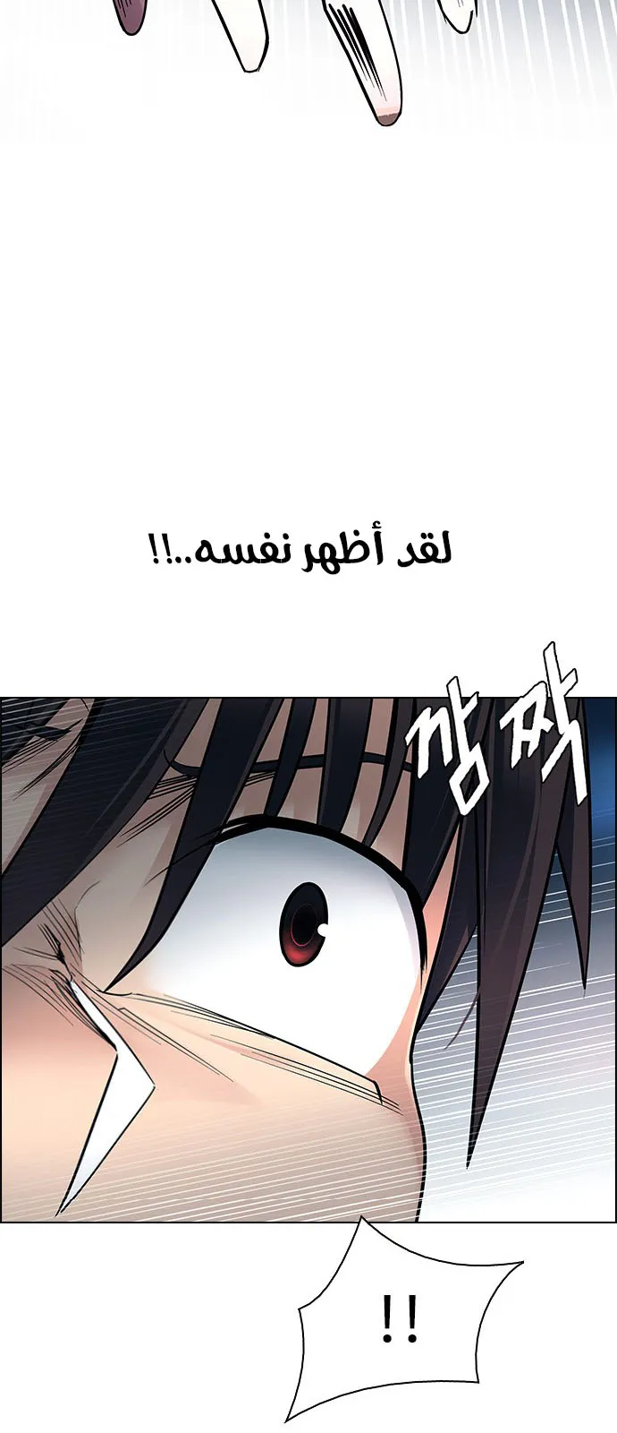الصفحة 4 من 50