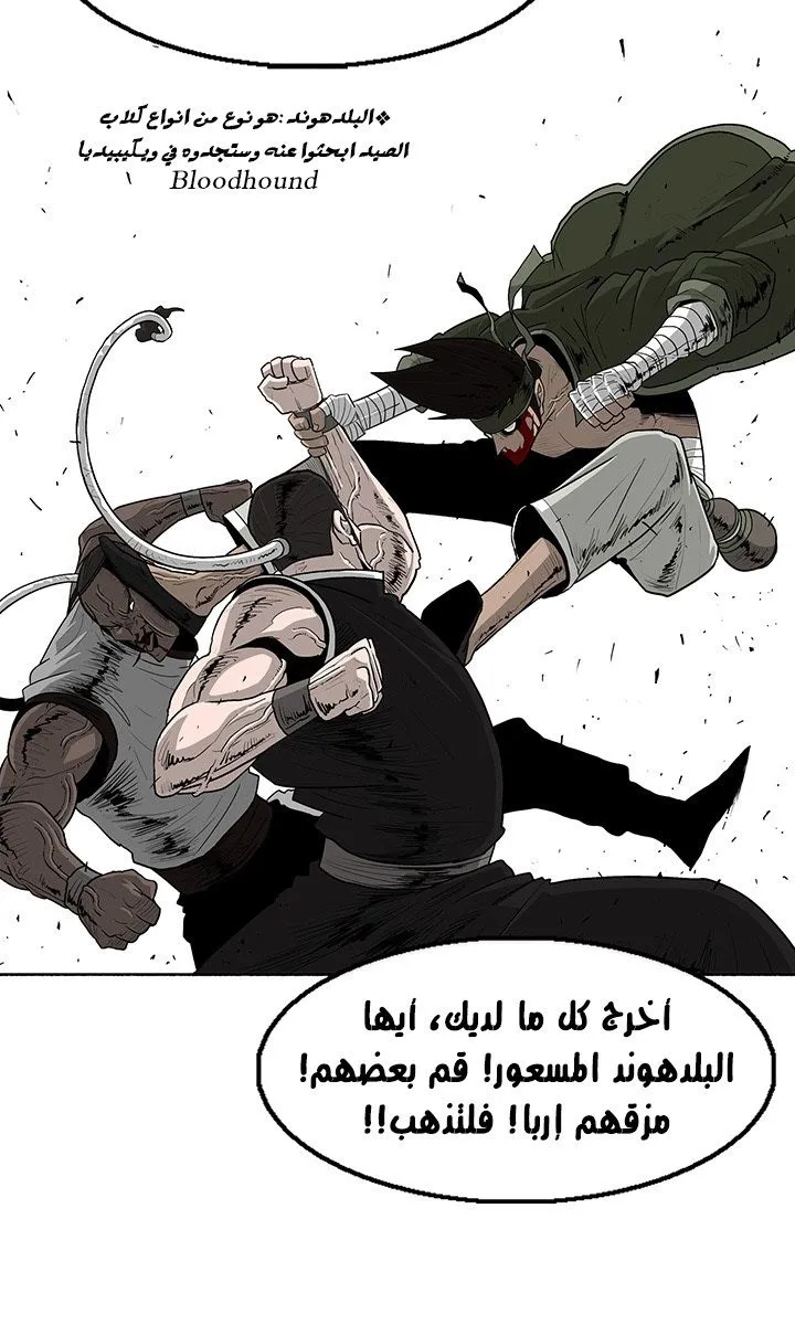 الصفحة 37 من 50