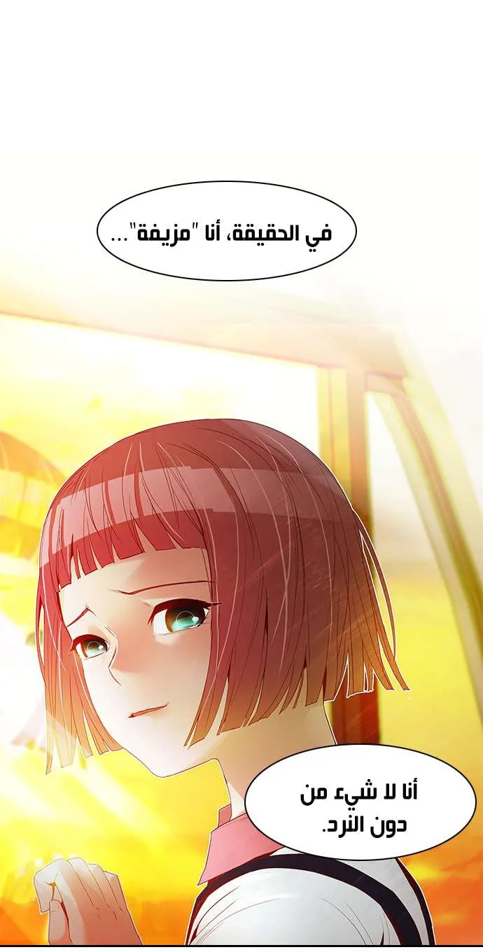 الصفحة 41 من 61