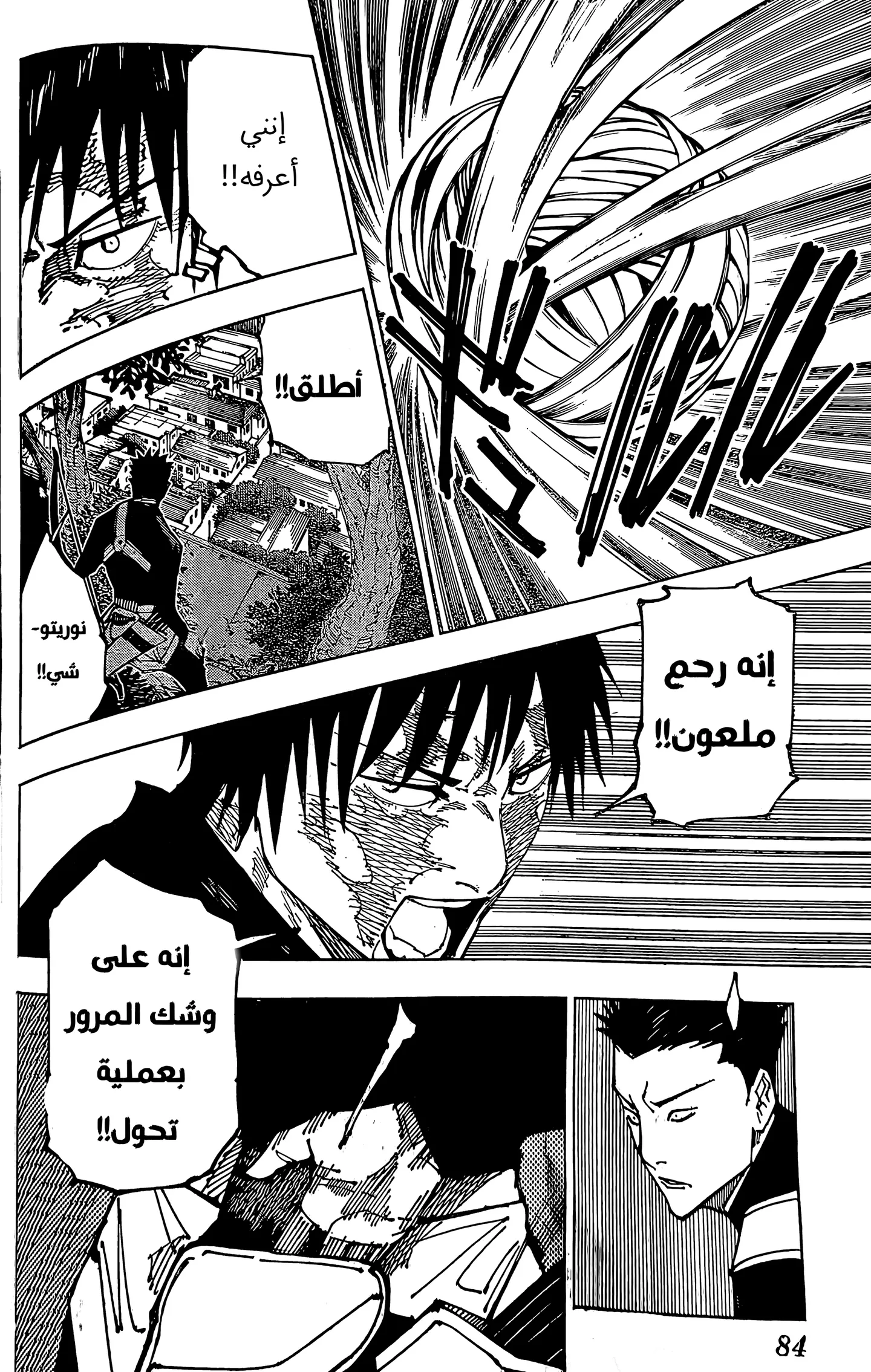 الصفحة 11 من 17