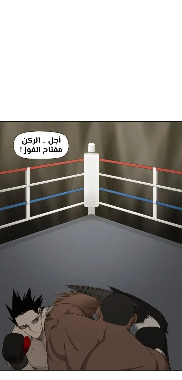 الصفحة 42 من 80