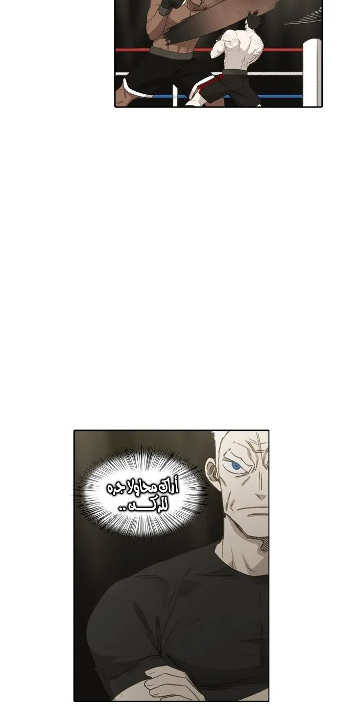 الصفحة 44 من 80