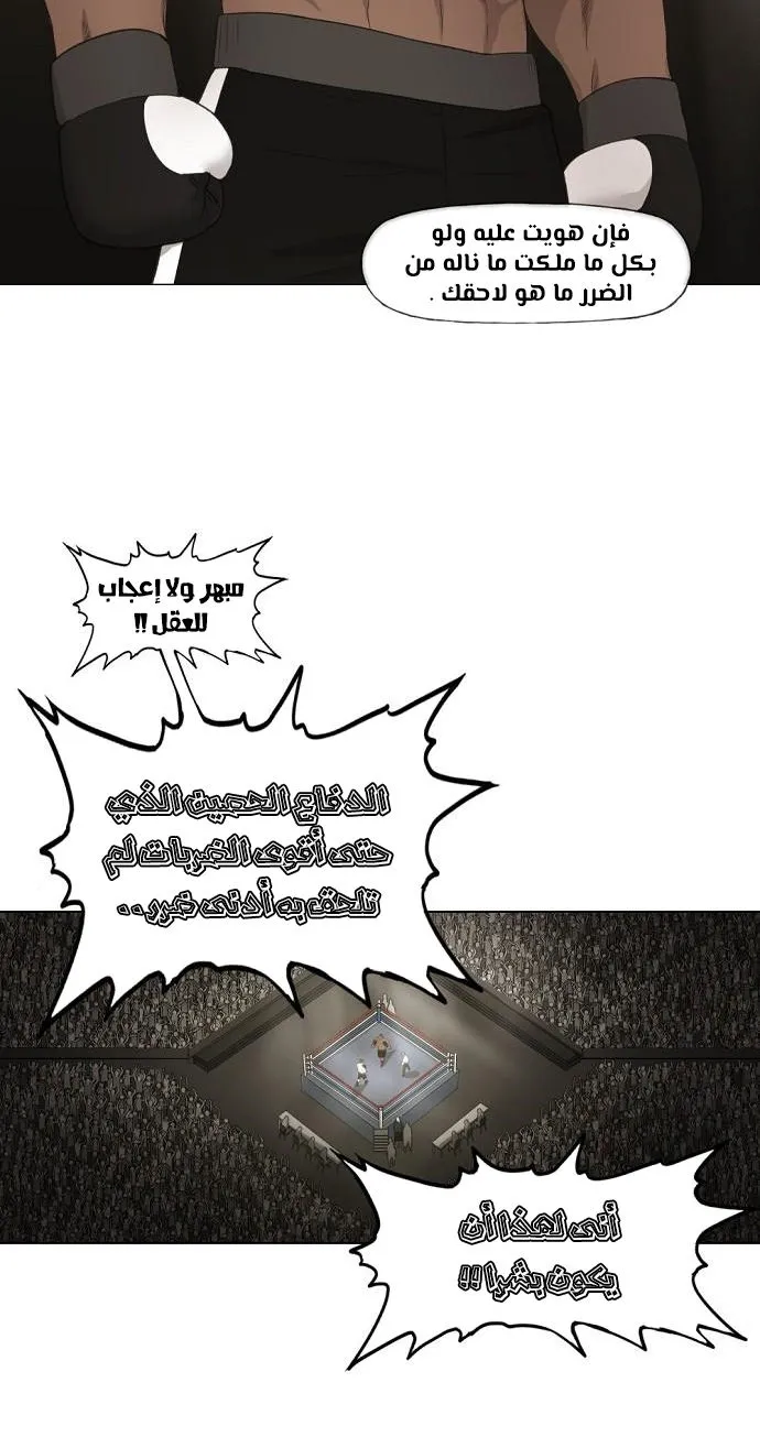 الصفحة 37 من 80