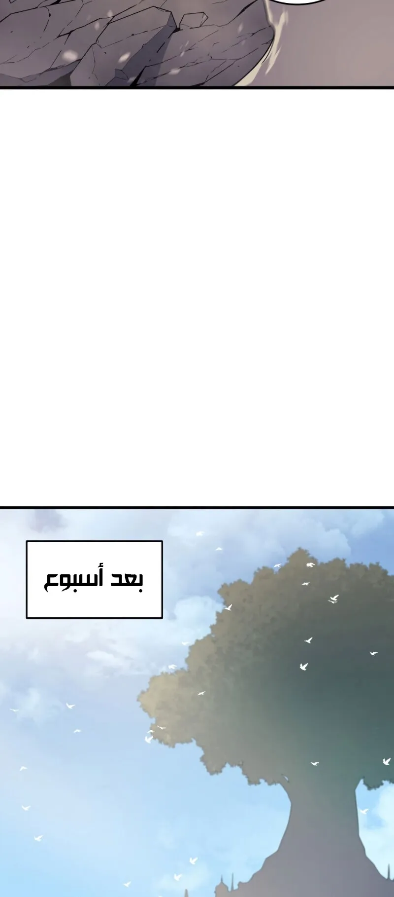 الصفحة 26 من 94