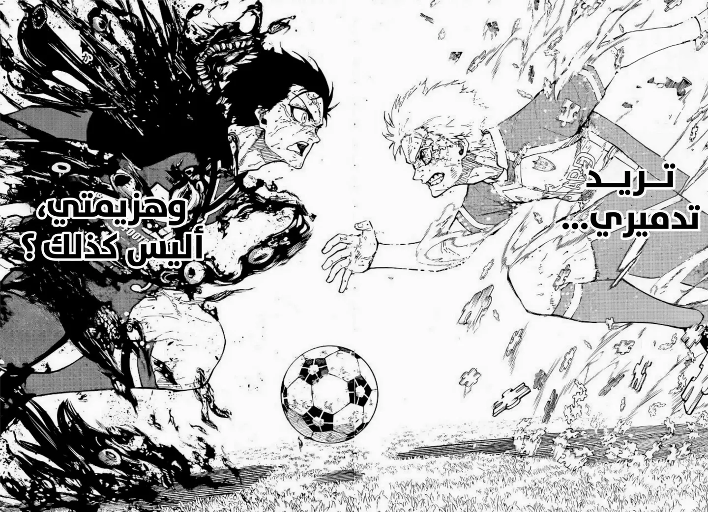 الصفحة 5 من 14