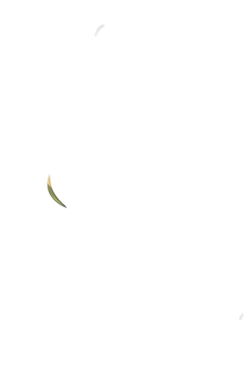 الصفحة 64 من 87