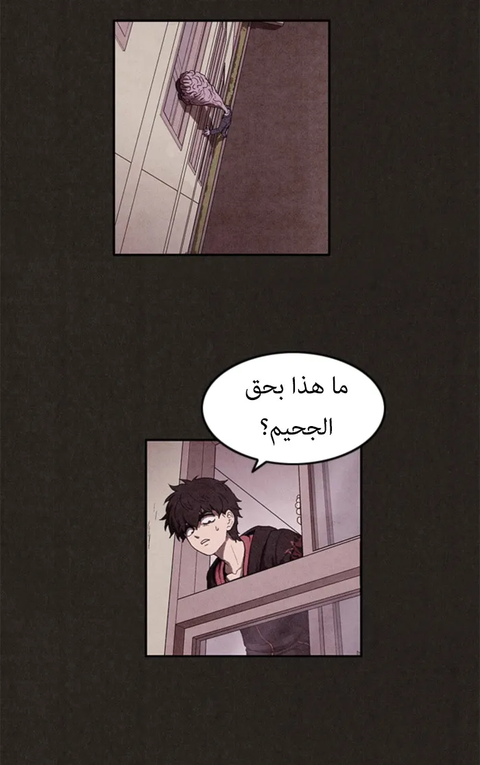 الصفحة 54 من 86
