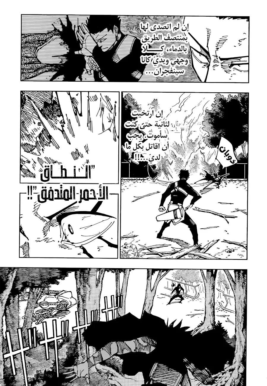الصفحة 4 من 17