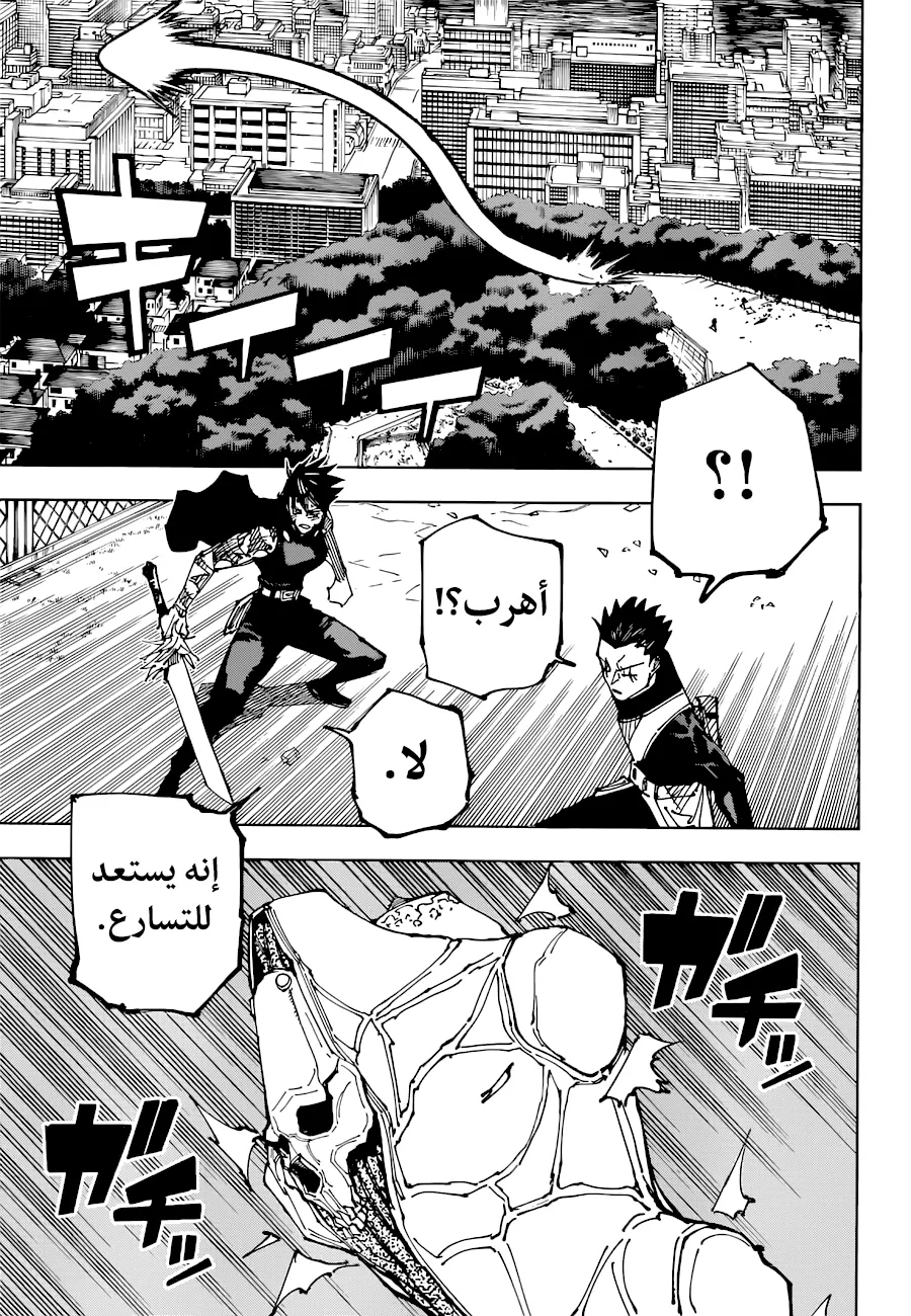 الصفحة 11 من 17